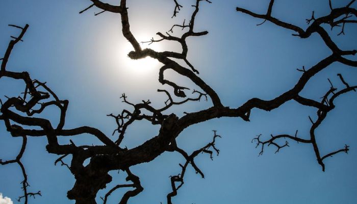 Brasil registra recorde da temperatura média pelo quarto mês seguido